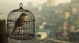 「働かせたくない」は優しさ？見落とされがちなDV「社会的暴力」とは